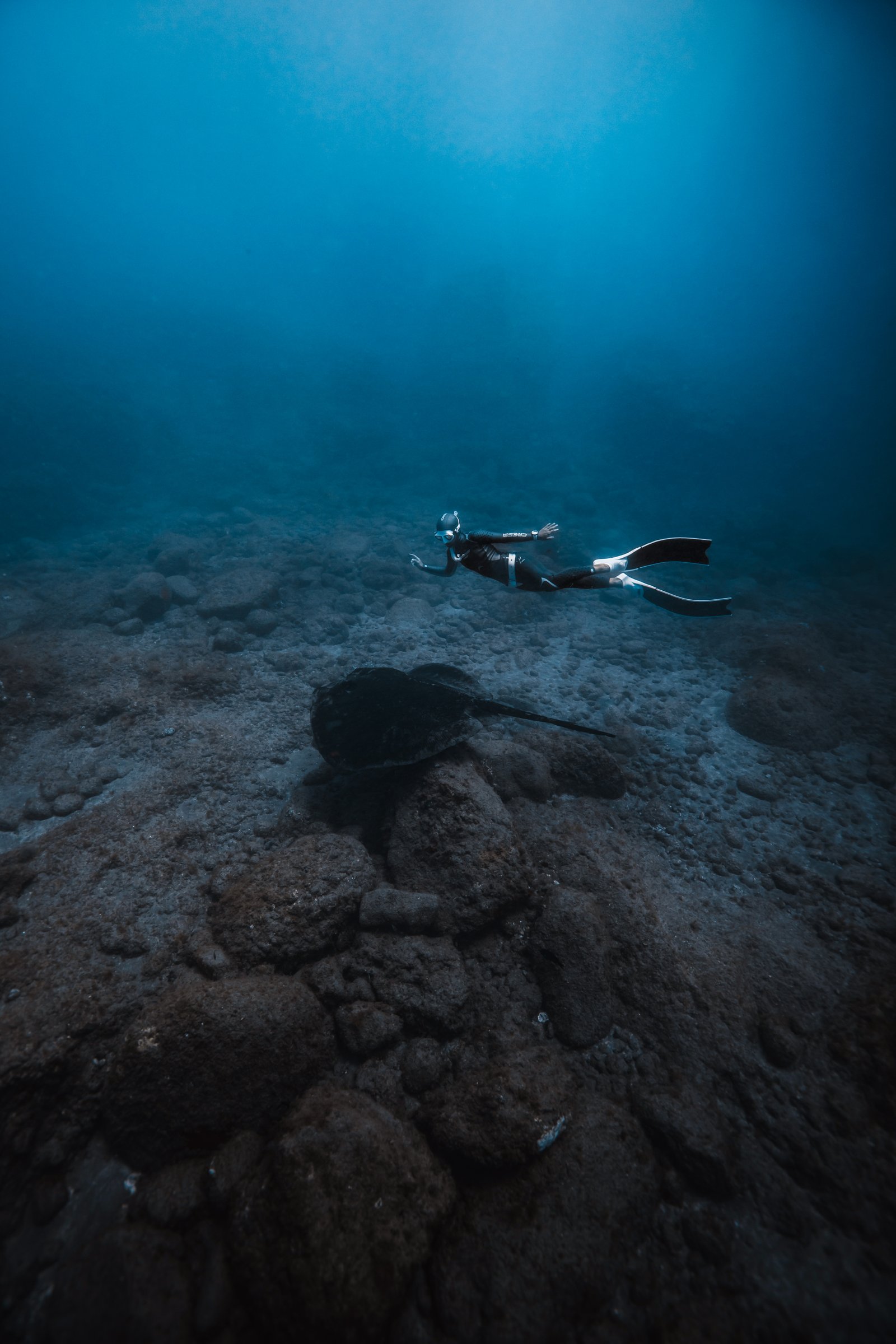 Fotografía artística de apnea por Alessio Sera
