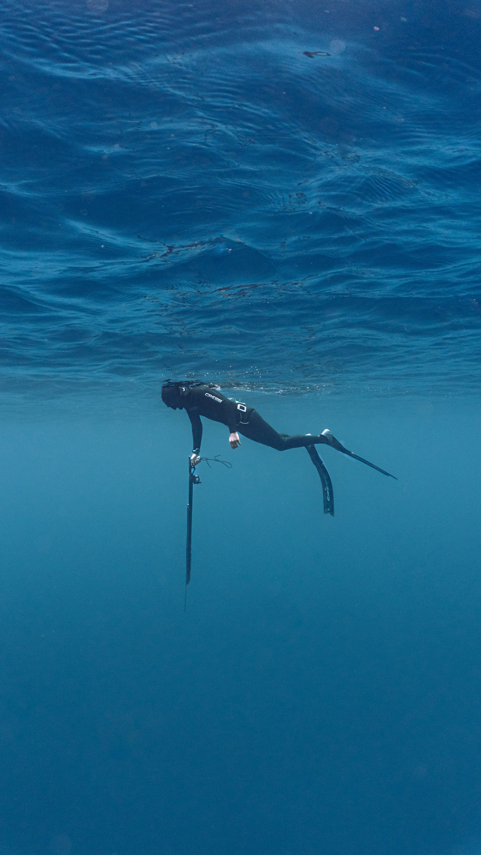 Inmersión de pesca
