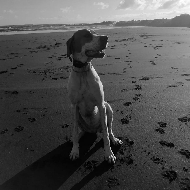Trudy, la mascota de Subzone